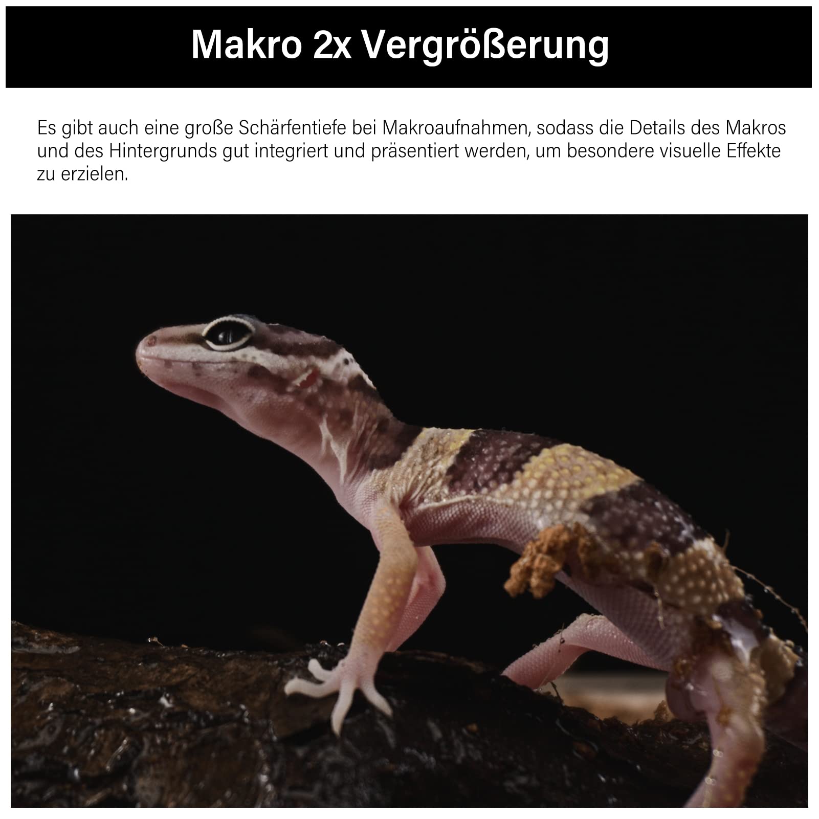 astrhori-28mm-f13-2x-makro-sondenobjektiv-sony-e-direkt image 4