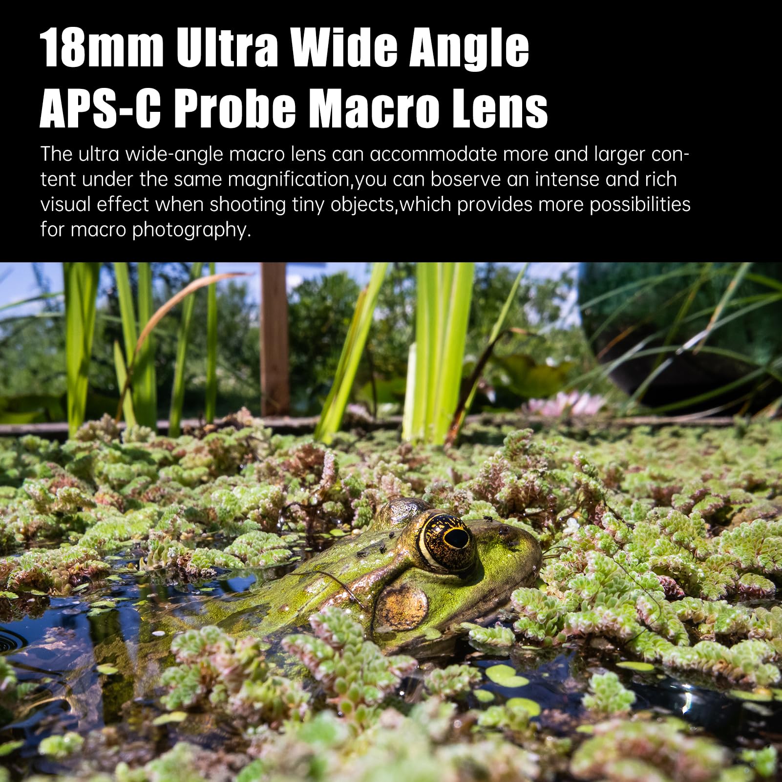 astrhori-18mm-f8-2x-makro-sondenobjektiv-sony-e-90-periprobe image 5