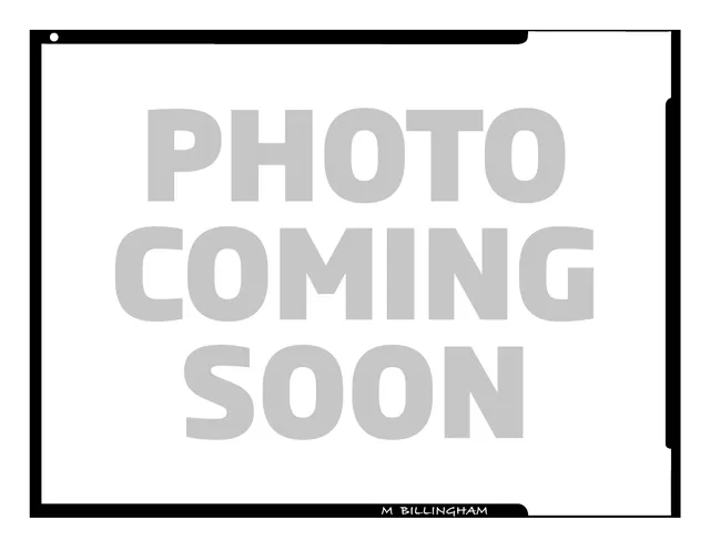 billingham-s-series-leica-m-divider-set-kameratasche image 1